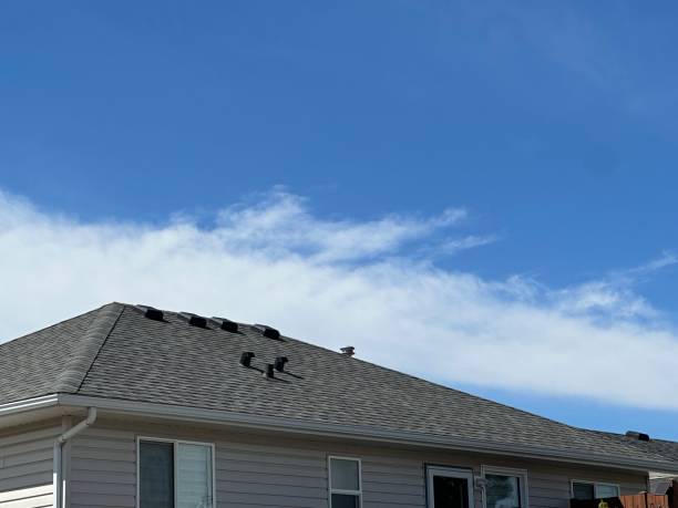 Fast & Reliable Emergency Roof Repairs in Thomson, GA